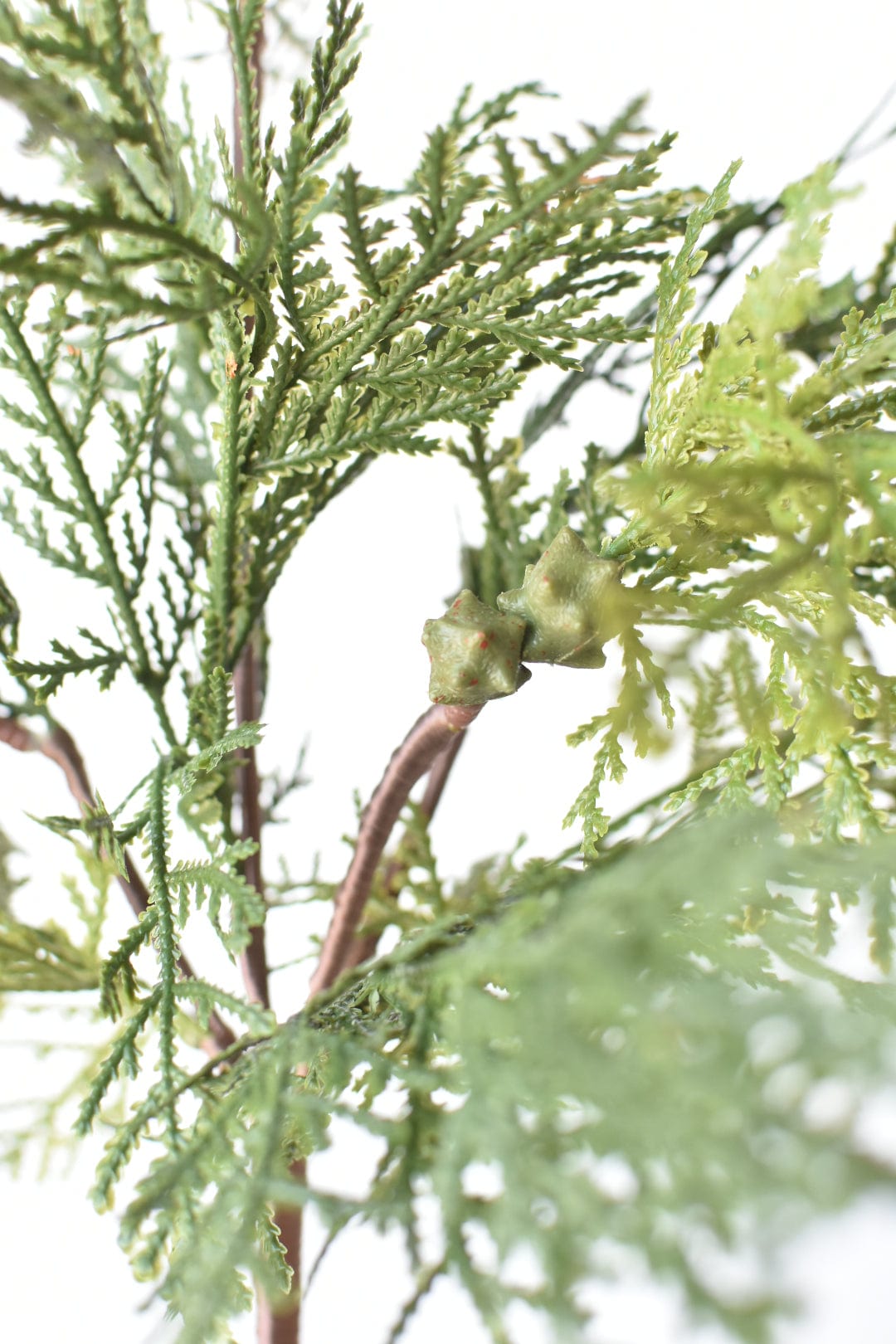 16" Faux Cedar with Pod Stem