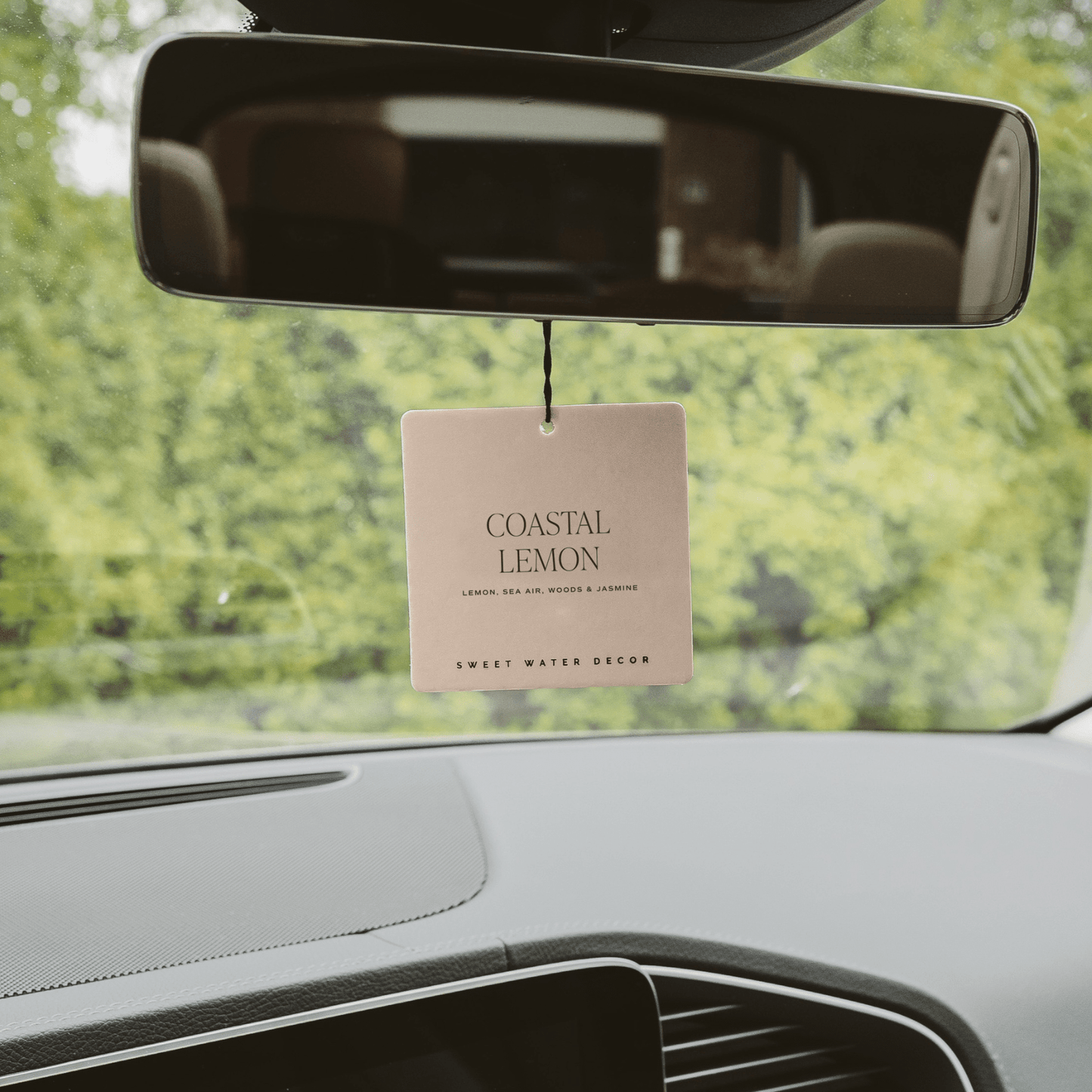 Coastal Lemon Hanging Air Freshener