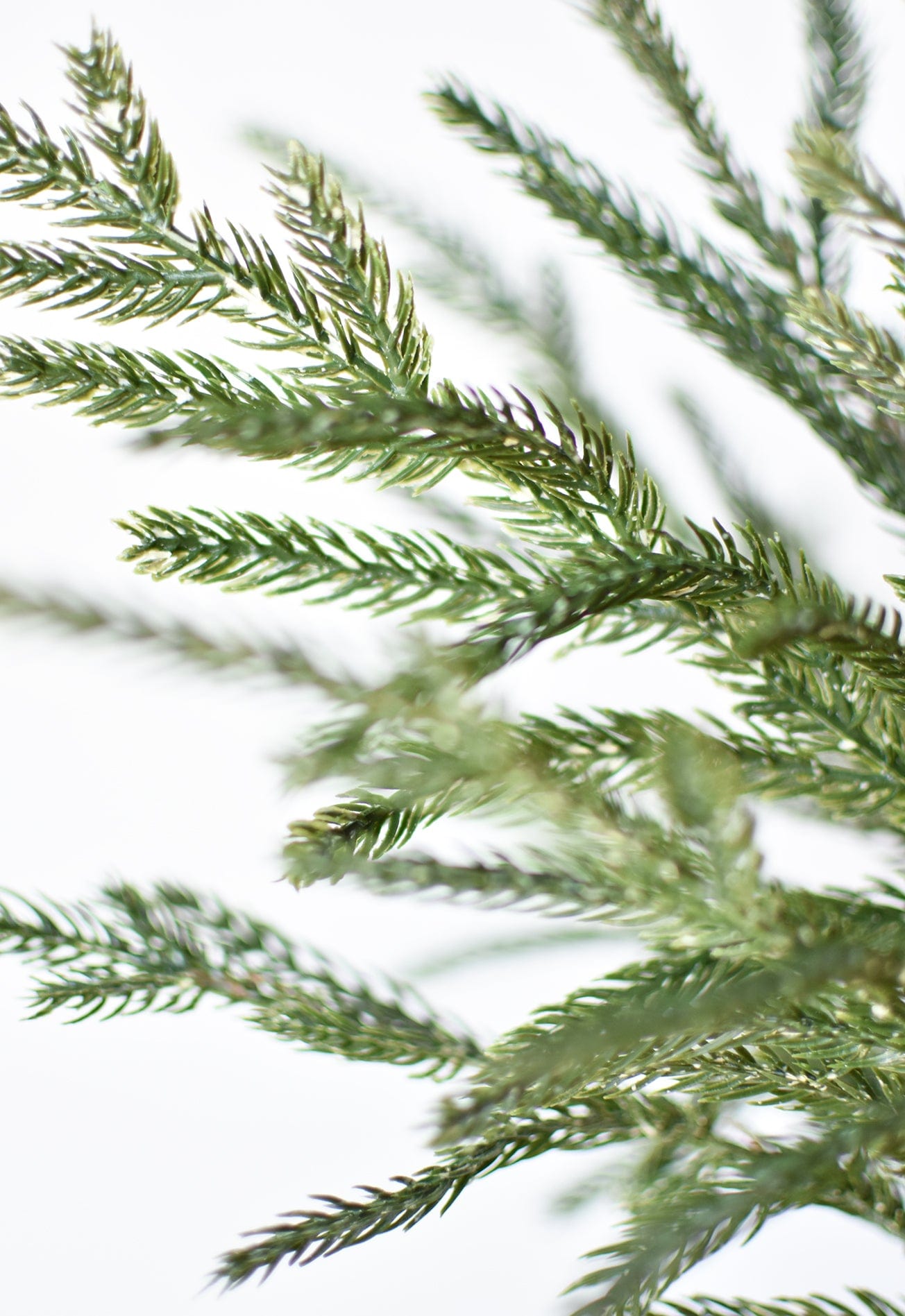 20" Faux Whitewash Green Norfolk Pine Spray Bush