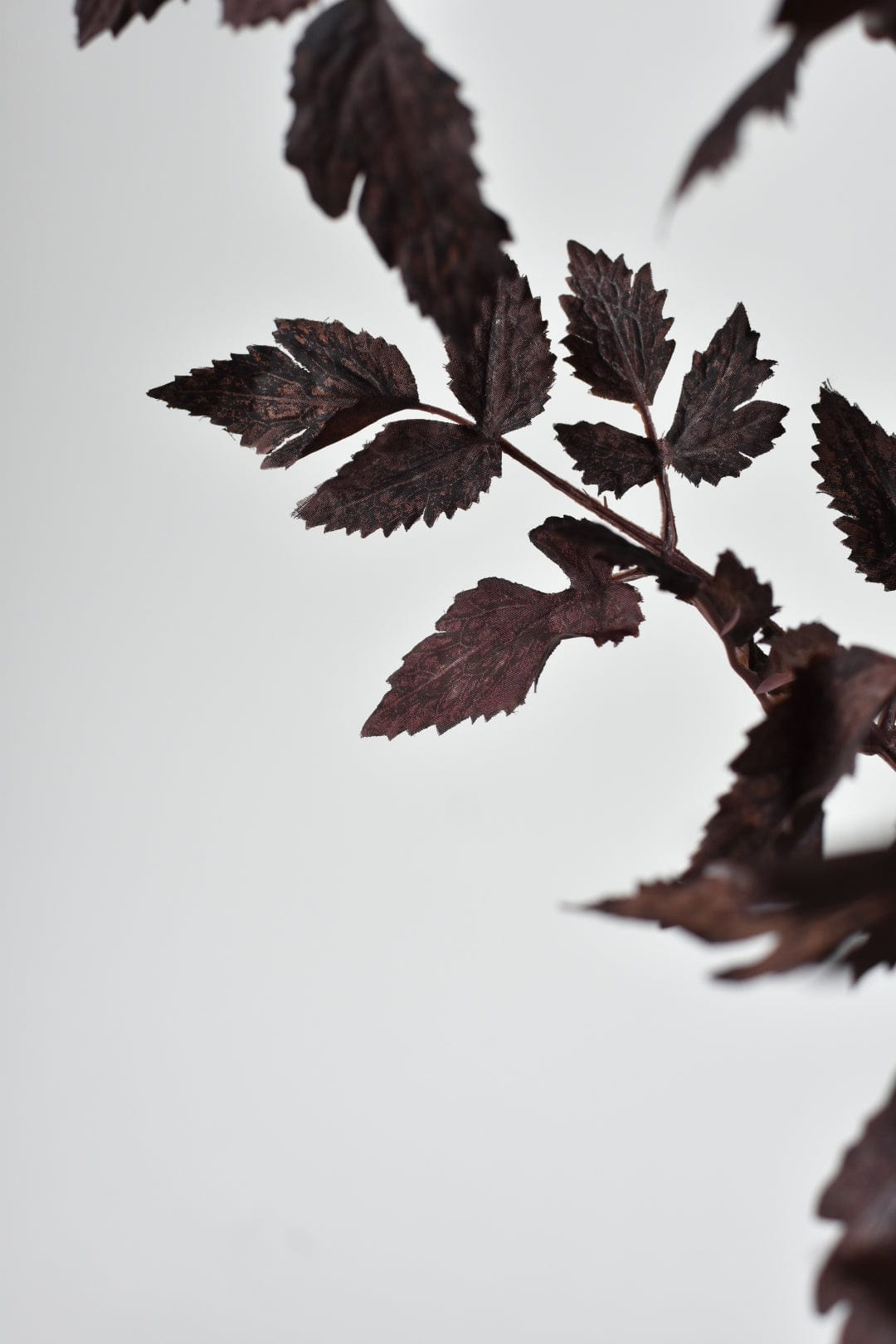 31" Faux Cimicifunga Ramosa Stem: Plum