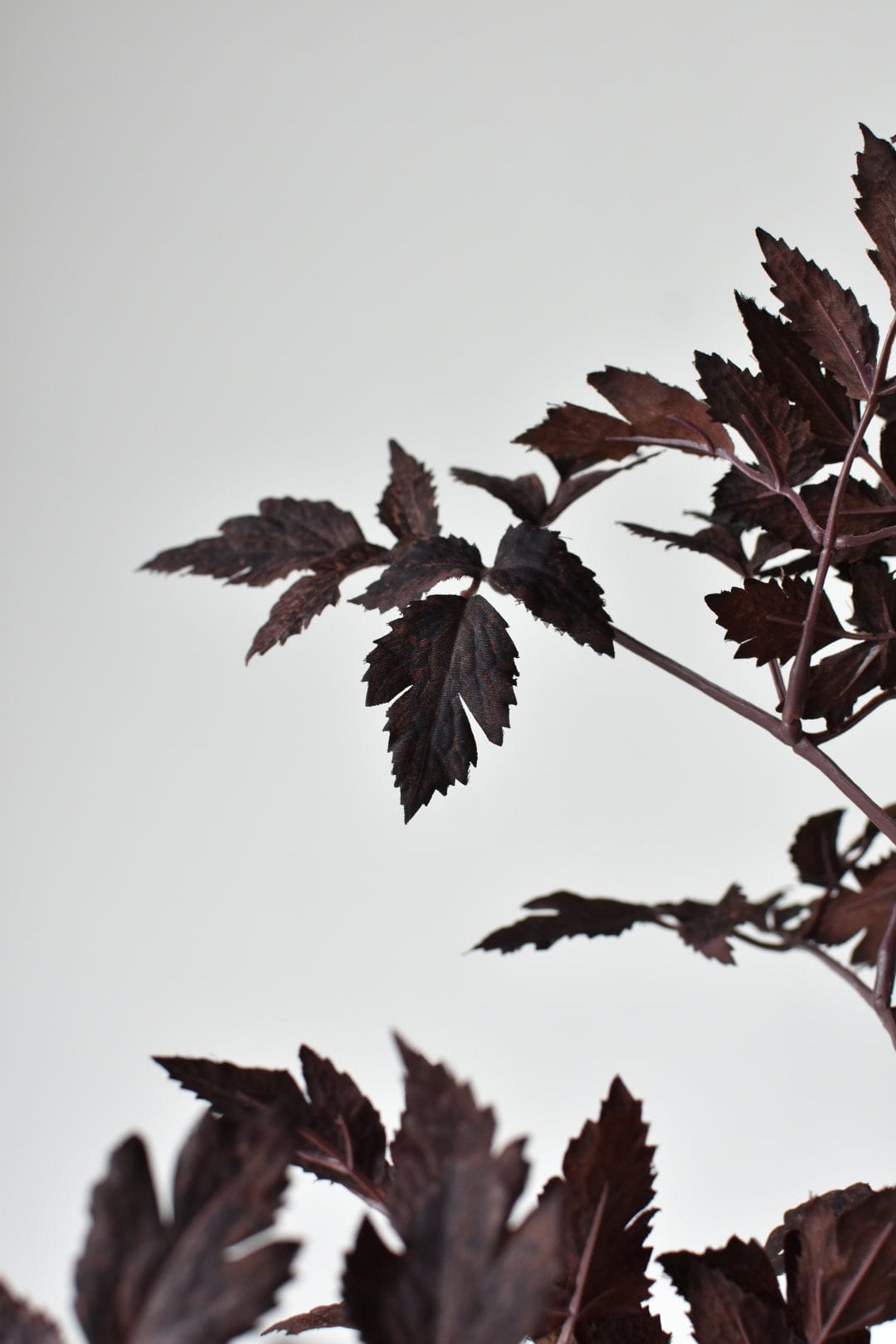 31" Faux Cimicifunga Ramosa Stem: Plum