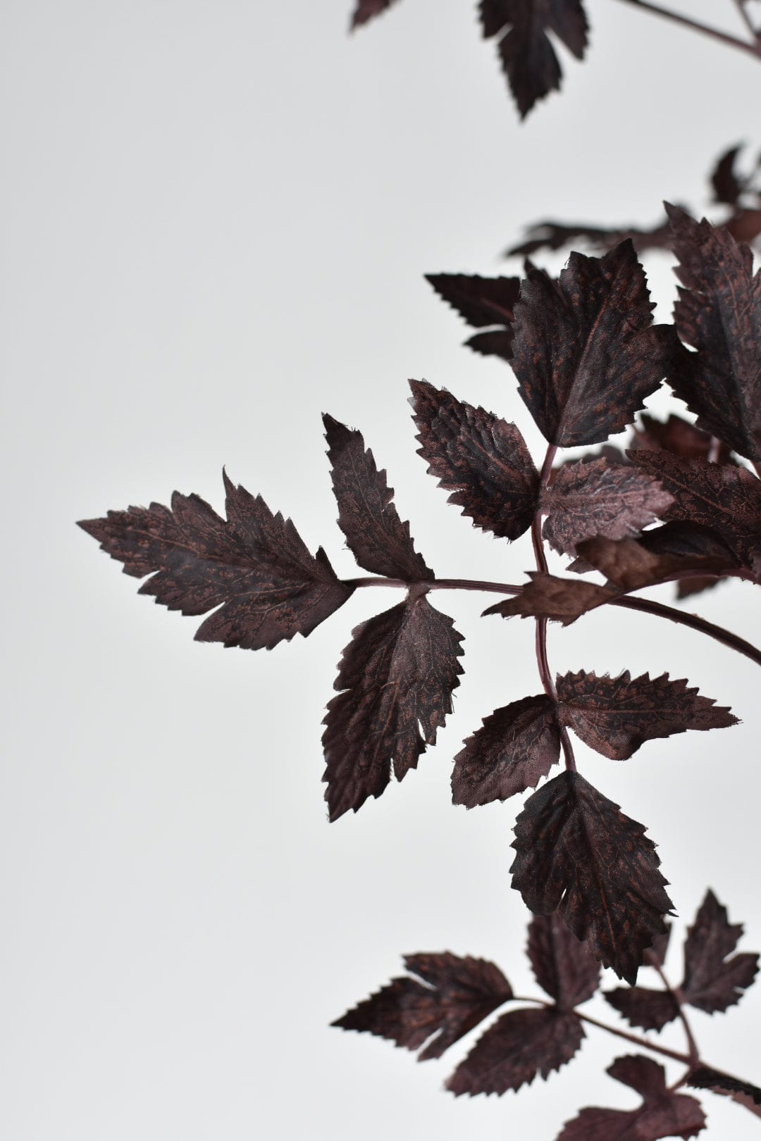 31" Faux Cimicifunga Ramosa Stem: Plum