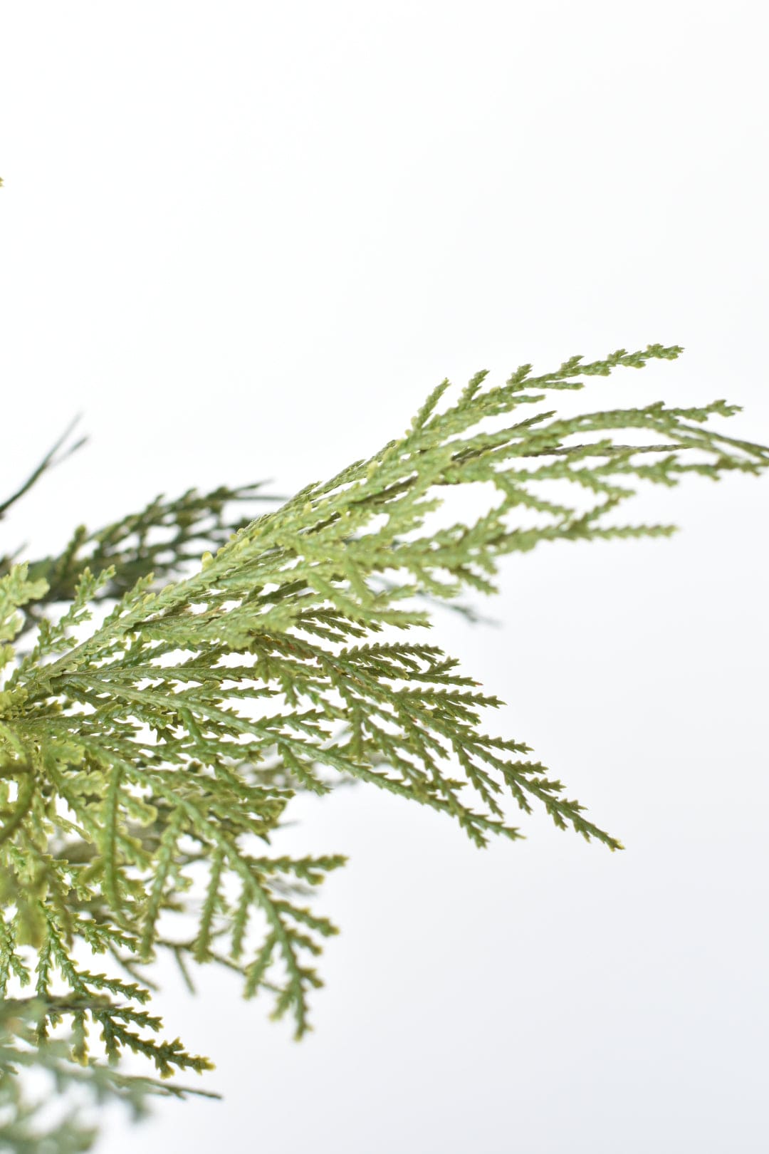 16" Faux Cedar with Pod Stem