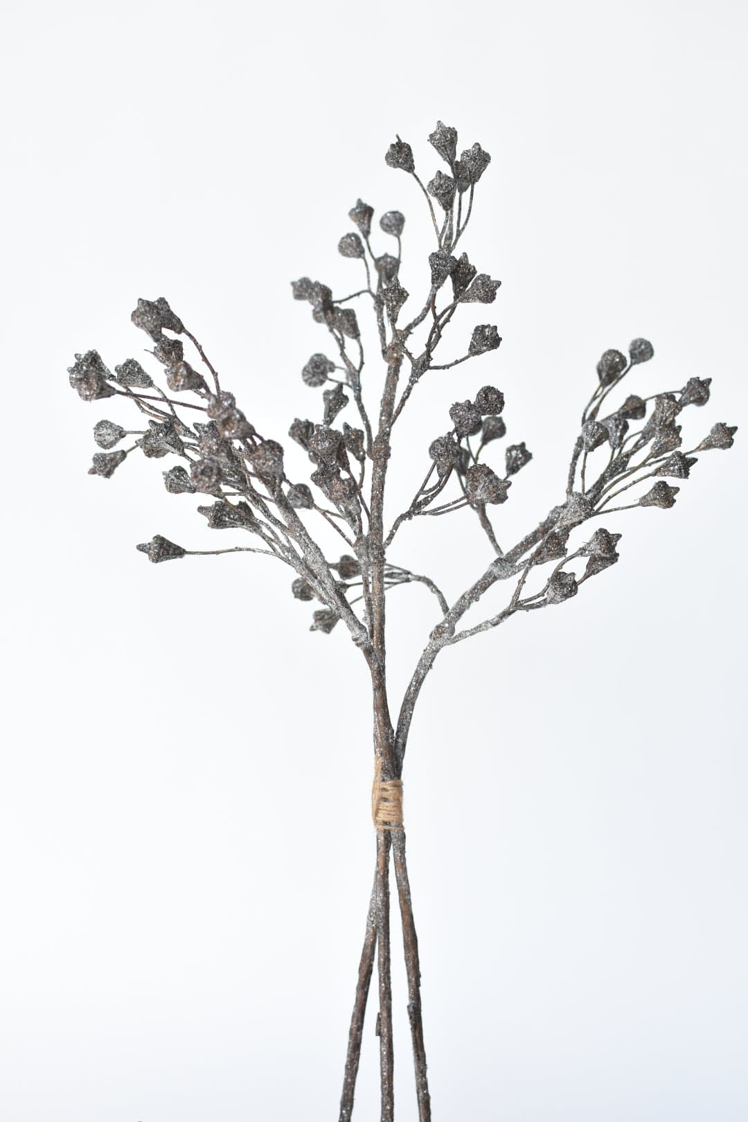 21" Faux Ice Glittered Twig with Pod Bundle (3 Stems)
