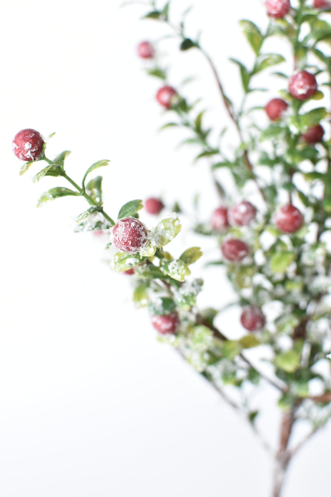 21" Faux Frosted Greenery with Red Berry Stem