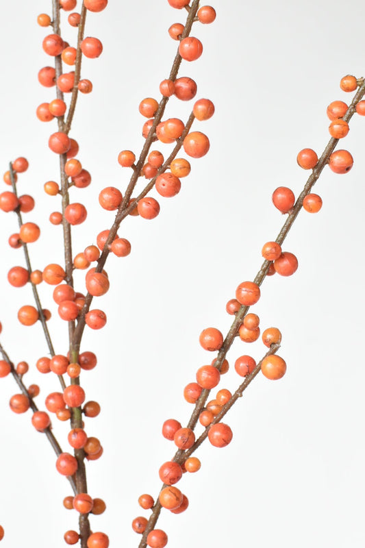 43" Faux Outdoor Orange Berry Stem