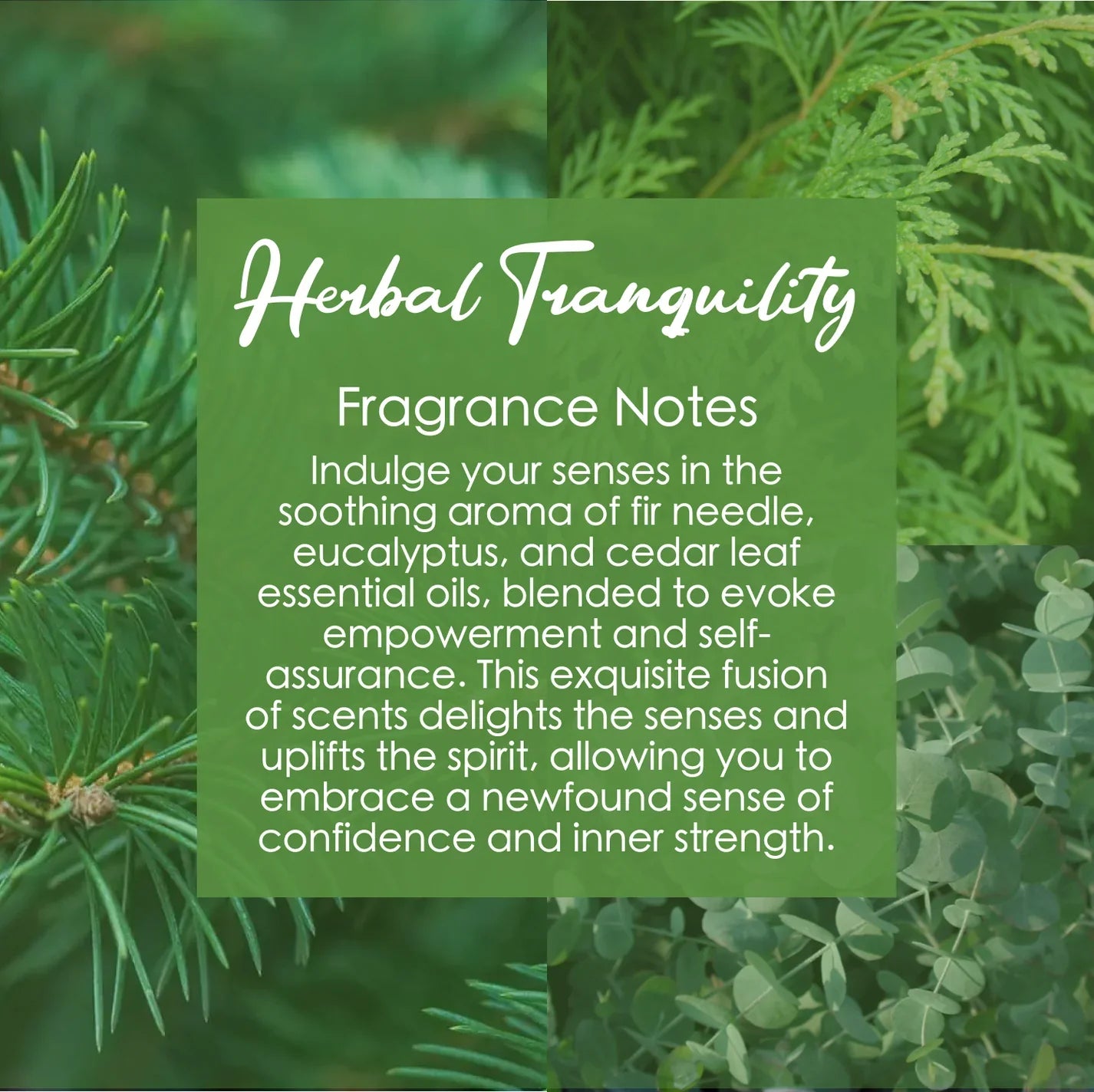 Herbal Tranquility, Premium Coconut-Soy Wax Tea Light Crystal Candle, 1oz