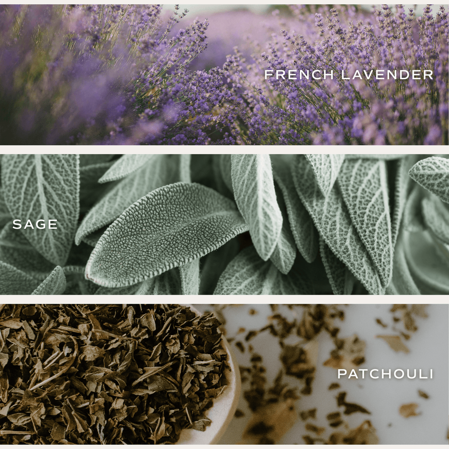 Lavender and Sage Soy Candle - Tinted Glass Jar - 12 oz