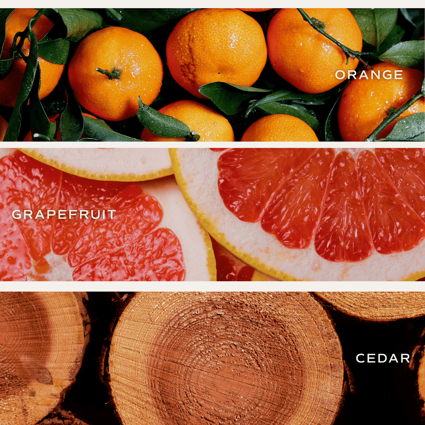 Pink Grapefruit Soy Candle - White Jar - 11 oz