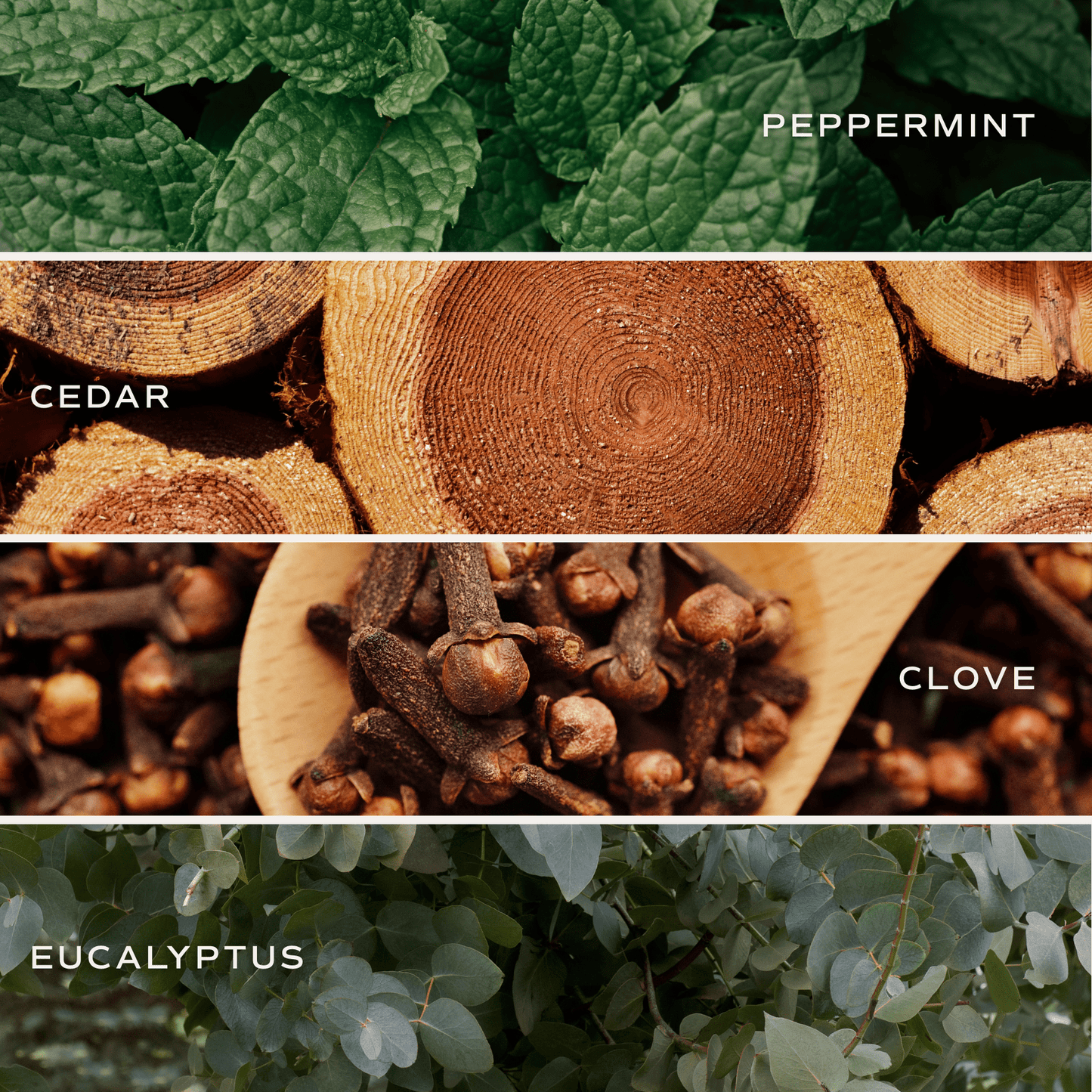 Relaxation Soy Candle - Tinted Glass Jar - 12 oz